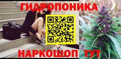 соль ск Свободный