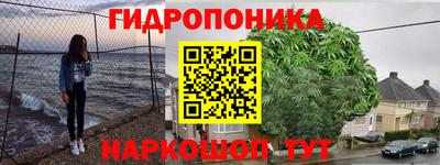 соль ск Свободный