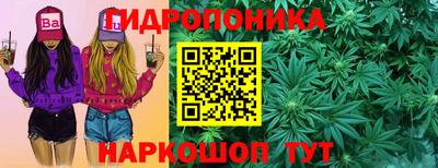 соль ск Свободный