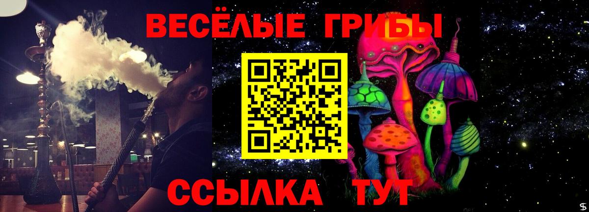 Петрозаводск  Галлюциногенные грибы Psilocybine cubensis  Вход с VPN  Псилоцибиновые грибы мухоморы 